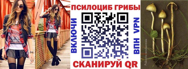 где найти наркотики  Неман  Галлюциногенные грибы ЛСД 